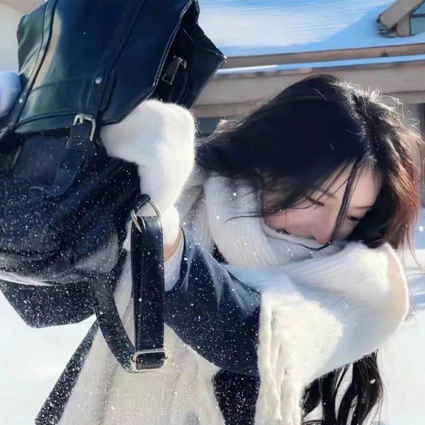 重生之执棋夺嫡